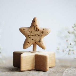 Wooden star zodiac Capricorn